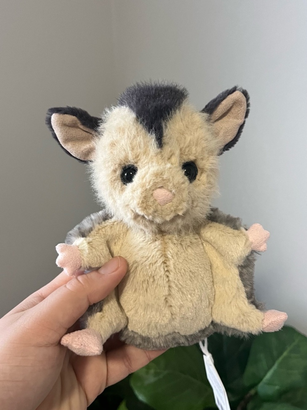 Jellycat Cream and Gray Sugar Glider Plush
